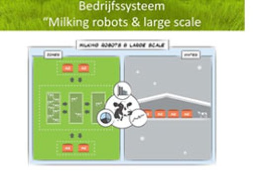 Milking robots & large scale
