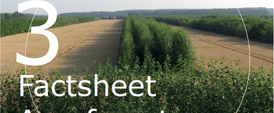 Wat zijn de mogelijkheden voor koolstofvastlegging door agroforestry?