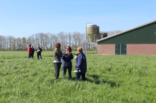 kleinIMG_3534.jpg