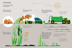 FINAL_1500x1000_fomaat_illustraties_WUR4_Infographic2@1.5x.png FINAL_1500x1000_fomaat_illustraties_WUR4_Infographic2@1.5x.png