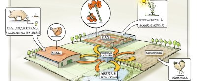 Schets van een bedrijfsconcept waarin materiaalstromen tussen kas, varkenshouderij en akkerbouw worden uitgwisseld. Hoewel er logistieke voordelen zijn als verschillende bedrijfstypes bij elkaar in de buurt liggen, kunnen kringlopen ook over grotere afstanden gesloten worden met behulp van centrale verwerkings- en distributiepunten.