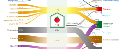 Materiaalstroomdiagram van water, meststoffen, CO2, substraat en plastic voor een tomatenteelt in Nederland. Let op; binnen 1 type materiaalstroom kan de grootte van verschillende stromen worden vergeleken. Zo is bijvoorbeeld te zien dat van de meststoffen, kalium het meest gebruikt wordt en magnesium het minst. Tussen verschillende materiaalstromen kan de grootte van stromen niet worden vergeleken. Er is voor deze visualisatiemethode gekozen omdat water verreweg de grootste stroom is, waardoor de andere materiaalstromen verwaarloosbaar klein zouden moeten worden afgebeeld. Bron: Van Tuyll, Boedijn et al. (2022)