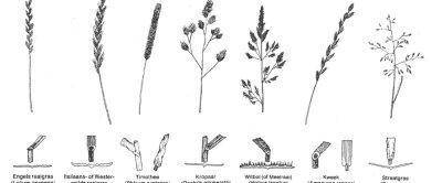 Bron: Handboek Melkveehouderij, Wageningen Livestock Research