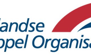Logo NAO