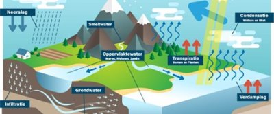 Een schematisch overzicht van de natuurlijke watercyclus op aarde. Aan de hand van dit plaatje wordt snel duidelijk dat neerslag een cruciale rol speelt in de waterbalans. In gebieden waar weinig neerslag valt, is het aanwezige grondwater vaak een natuurlijke reserve die in de loop van duizenden jaren is opgebouwd. De reserves raken uitgeput als mensen elk jaar meer water onttrekken dan er natuurlijk wordt aangevuld. Bron: VectorMine/Shutterstock.com